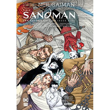 Sandman Deluxe Edition Book 5 HC